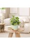 Self-Watering Planters - Houseplant Flower Pots - Plant Care - Integrated Water Level - 5 Pieces 5-7 Inch - Green - 2