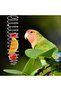 Hanging bird fruit and vegetable feeder - 4