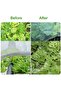 Garden protective netting, insect-proof netting, vegetable protective netting, plant protection netting, fine-mesh, flower protection, 2.5m x 10m. - 4