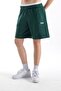 Flaw Embroidered Elastic Waist Shorts - 6