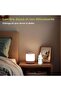 Rechargeable touch LED bedside lamp 3 temps. - 3