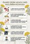 100% Pure Immortelle Flower Essential Oil 1 ml - Natural Helichrysum (Immortelle) Oil What Is It Used For? Product - 2