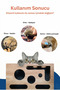 Kedikür – Nail Grinding, Scratching and Play Box - 4