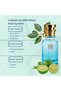 Oil-Based Perfume for Men – Inspired by Bergamote 22– Alcohol-Free - Long-Lasting (7–9 Hour Wear) Citrus Aromatic Scent with Bergamot, Vetiver & Musk – Clean Fresh Fragrance (30 ML) - 3