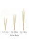 FFD Dried White Curly Willow Branches, Natural Decorative Twigs for Home & Event Styling - 2