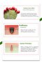 Cactus Extract | Pore Tightener | Cooling | Cactox Multi Balm 25Gr - 4