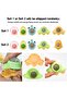 5-Piece Catnip Roller Ball Set, Wall Mount Catnip Toy with 2 Replacement Balls for Cats
