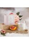 Elegance Peony Vanilla Scented Jar Candle 255gm - Pink - 50hrs