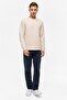 Beige Regular Plain Crew Neck Sweatshirt - 7