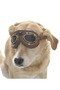 Dog Sunglasses Sakari