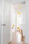 Cat Toy - Caterpillar with Rattles, Fishing Rods, Drawstring, Kitten Toys Hair Collector - 8