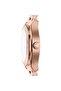 Ar11762 Women Wrist Watch - 2