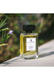 Cardamom and Apple Eau de Parfum for Men - 100 ml - 4