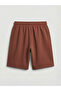 Brown Standard Fit Men's Shorts - 6