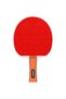 SET TENIS DE MASA PING PONG ACTIVE - 3
