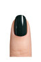 Obsidian Black - 2