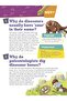 When Did Dinosaurs Rule The Earth? - 2