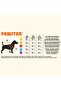 Ruby Slice Denim Watermelon Patterned Jeans Cat Dog Dress - Cat Dog Outfit - 7