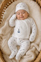 Seasonal Newborn Baby Boy Hospital Discharge Bodysuit Set Cotton 5-Piece Bodysuit Set (0-3 Months) - 5
