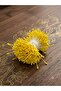 Artificial Flower Seeds (Stamens) -Stamens for Making Artificial Flowers - 380 Pieces - Yellow Color - 3