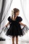 Girl's Princess Dress with Buckle, 3D Roses, Layered Tulle, Bow Detail, Birthday Party Wedding Special Occasion Dress, Ages 2-5 - 3