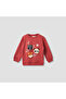 Boys Sweatshirt and Joggers Set with Animal Applique - Cotton - Long Sleeves - Crew Neck - 2