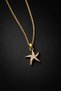 Women's Gold Color Starfish Figured Stone Necklace - 3