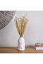 Tessi Dried Bouquet H50cm - Natural - 3