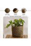 Marcela Sea Grass Planter D20xh20cm - Natural - 5