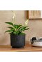 Aspen Terracotta Planter 17x17x15cm - Black