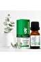Organic and Herbal Oils, 10 Ml Eucalyptus Oil - 2