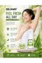 Aloe Mineral Deodorant Roll On 65ml Pack of 2 with Aloe Vera Extract Natural Mineral Deodorant Antibacterial Odor Protection Hydrating Soothing Gentle Underarm Care for Men and Women Daily Use - 3