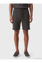 Anthracite Regular Fit Men's Shorts - 2