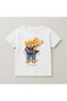 Teddy Bear Printed Crew Neck Cotton Short Sleeve Kids & Youth T-Shirt