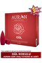 ألبيمو أوران بخور الورد المعطر المخروطي الشكل، بخور الورد المتدفق عكس التدفق، 10 قطع 888483 - 2