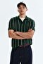 Regular Fit Cotton polo shirt