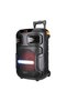 Portable Active Party Speaker with Controller