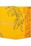 Odyssey Go Mango Tropical Edition Edp 100ml Spy - 4