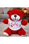 Red Plush Teddy Bear with Love T-Shirt