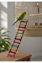 Wooden Bird Ladder 12 Steps – Climbing Toy with Hooks for Cage – for Budgie, Sultan, Lovebirds, and Parakeets - 4