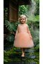 Girl's Powder 3D Flower Embroidered Tulle Princess Evening Dress with Lining Birthday Wedding Invitation Dress - 2