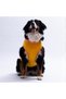 Yellow Crabby Beach Large Dog T-Shirt - Dog Apparel (15 Kg-45 kg) - 3