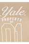 Yale تي شيرت قطني بقصة عادية - 2