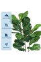 Artificial Tree,3-Stem Fiddle Leaf Banyan Tree (100cm h) - Easy-Assembly Faux Banyan Plant with Woven Planter, Lifelike Leaves, Zero-Maintenance Decor for Home & Office - 3