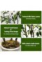 with 1pcs Plastic Artificial Banyan Tree - Stylish, Practical, Cost-effective, Affordable - 6