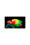55 inch OLED TV AI B6 Smart Television 2026 Model