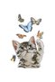 Children's Short Sleeve T-Shirt Cat Butterfly Printed Relaxed Fit 100% Cotton Daily Wear Modern Stylish Comfortable - 3