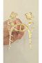 Pearlized Yellow Color Lily Flower Design Metal Clasp Buckle 11 cm - Stylish and Durable - 5