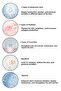 Blush Lipstick Eyeshadow Glow Tint Soft Mocha |   Moisturizing Makeup |   Nude |   Hyaluronic Acid Peptide - 6