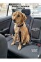 Pet Car Seat Belt Durable Sturdy Adjustable Cat Dog Car Harness Auto Accessory Compatible with All Vehicles Cat Dog Safety Harness - 6